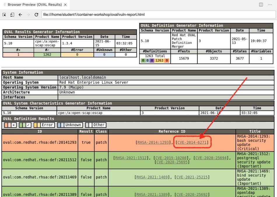 Vulnerability Report